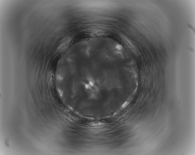 X0000094780169200712071213