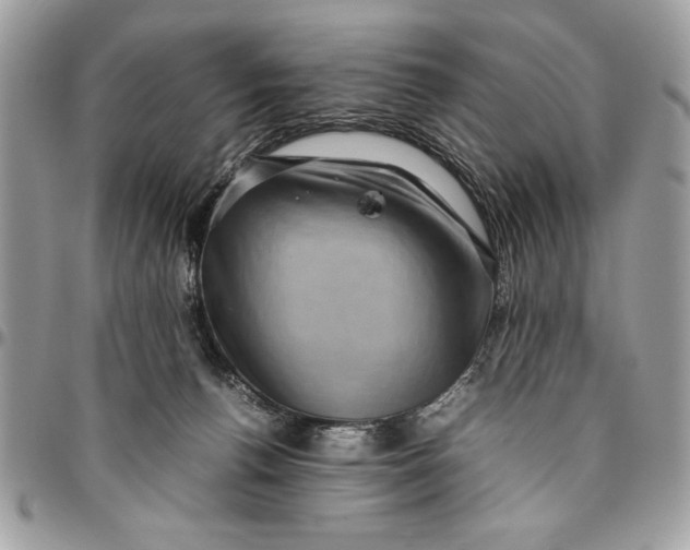 X0000094780176200712071213