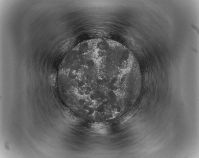 X0000094780177200712071213