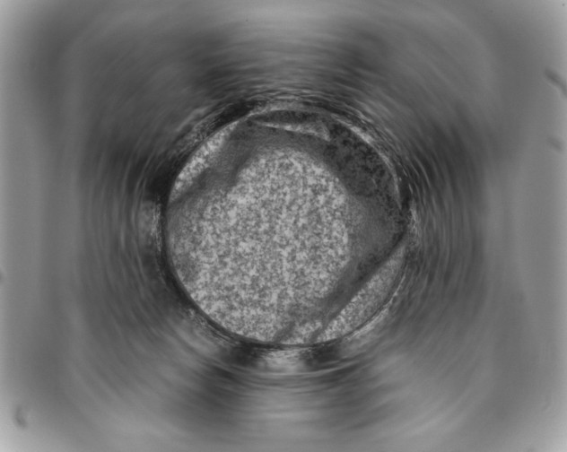 X0000094780178200712071213