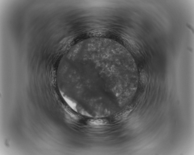 X0000094780181200712071213