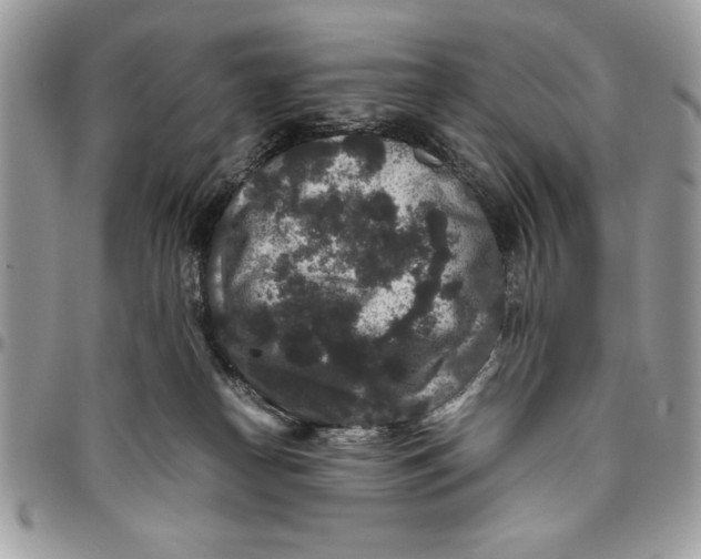 X0000094780182200712071213