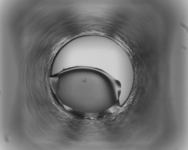 X0000094780193200712071212