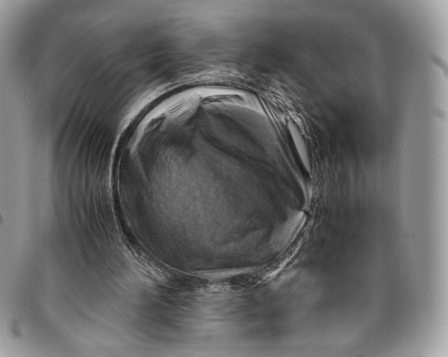 X0000094780196200712071212