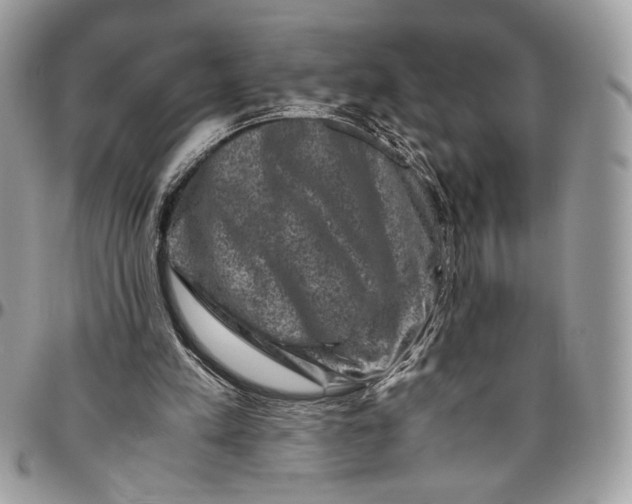 X0000094780197200712071212