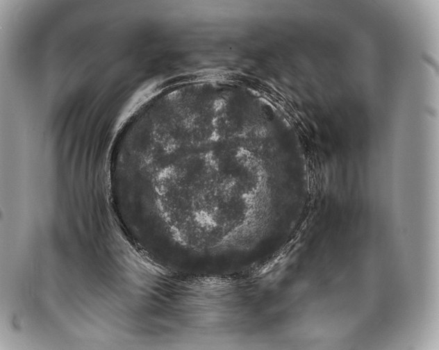 X0000094780198200712071212