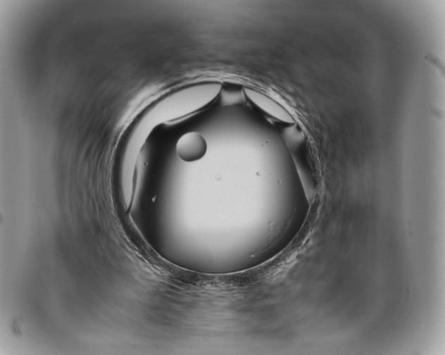 X0000094780199200712071212