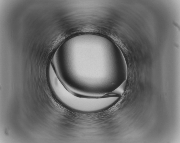 X0000094780201200712071212