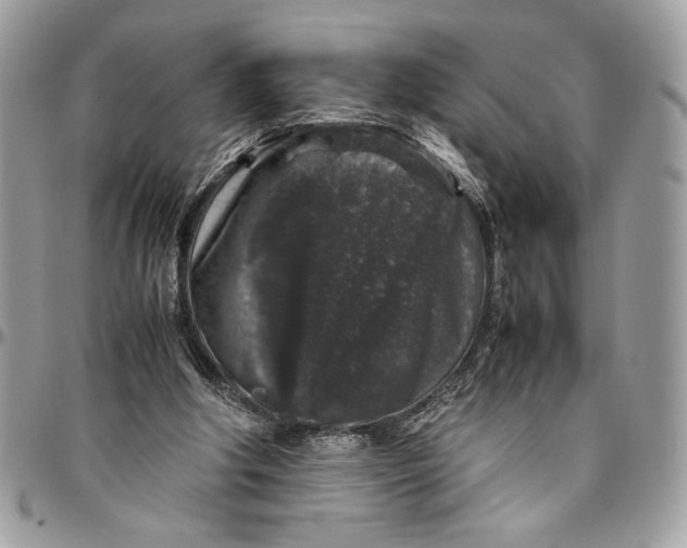 X0000094780202200712071212