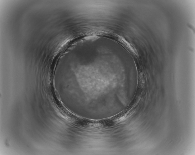 X0000094780203200712071212