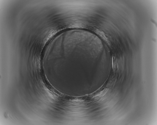 X0000094780204200712071212