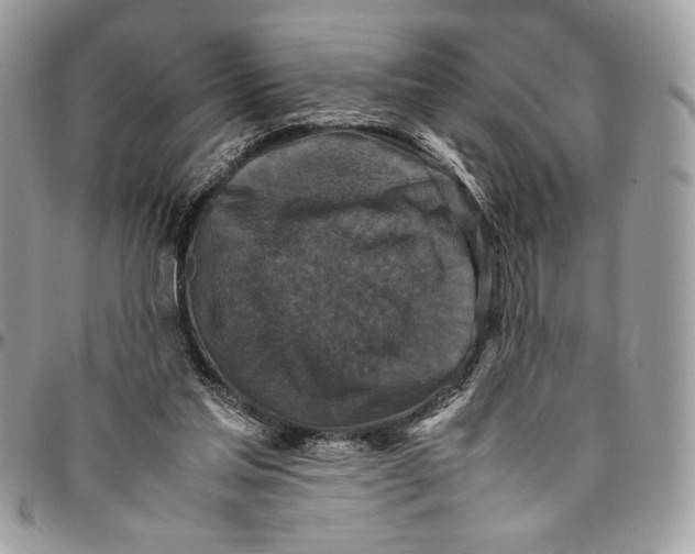 X0000094780205200712071212