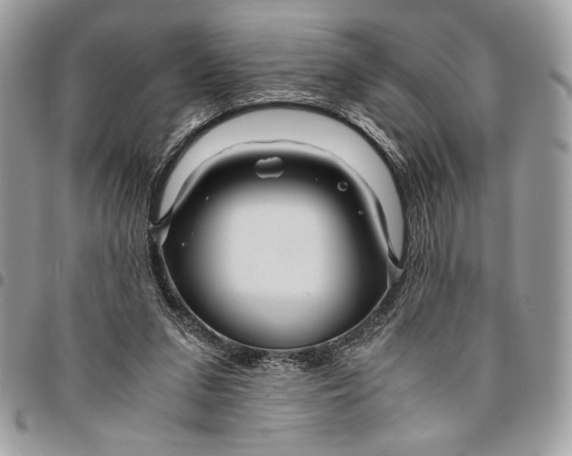 X0000094780207200712071212