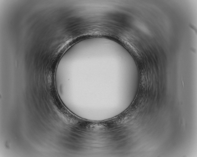 X0000094780208200712071212