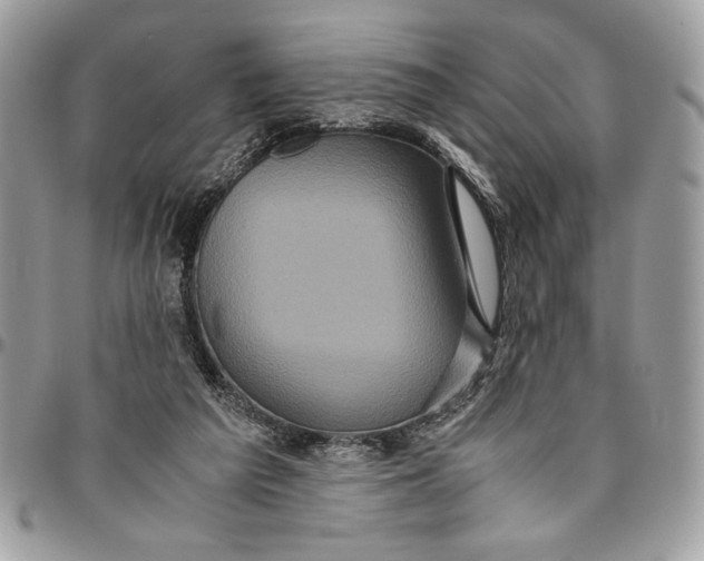 X0000094780209200712071212