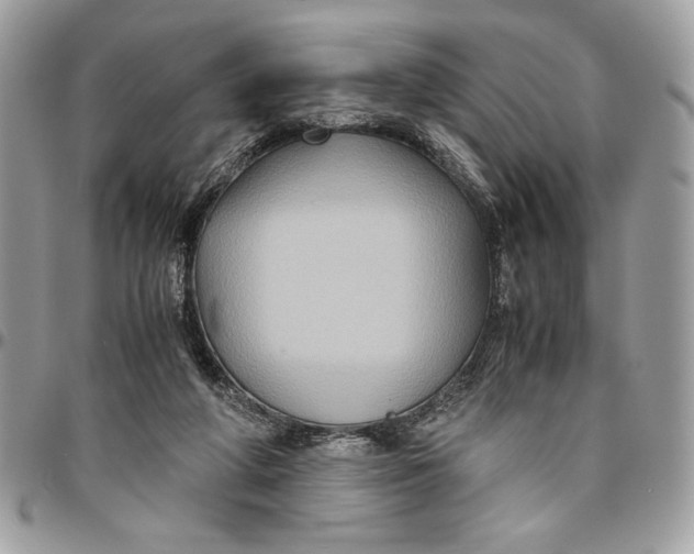 X0000094780210200712071212