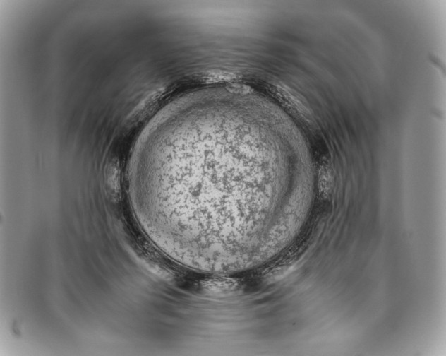 X0000094780215200712071212