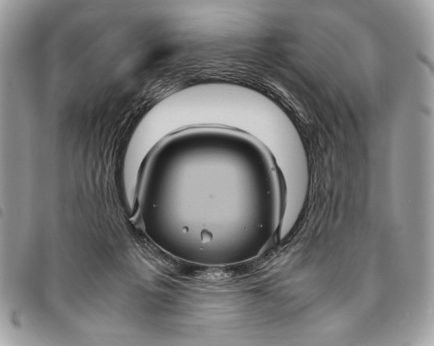 X0000094780217200712071212