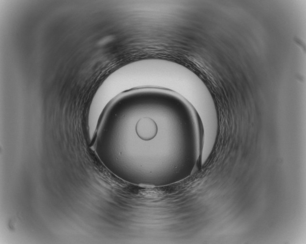 X0000094780221200712071212