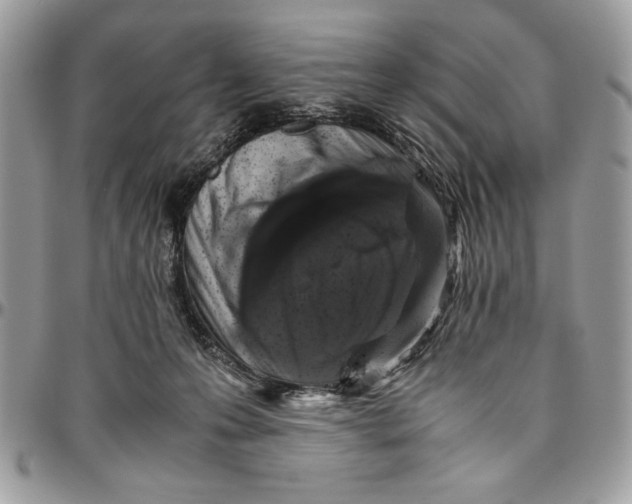 X0000094780223200712071212