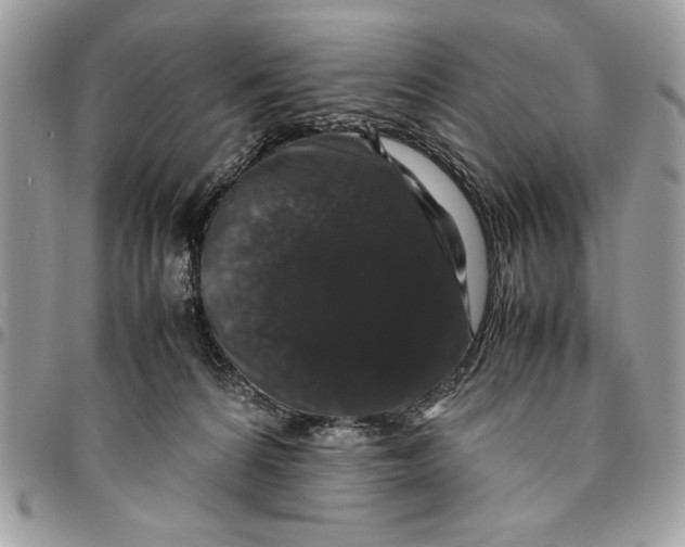 X0000094780224200712071212