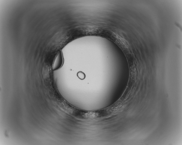 X0000094780225200712071212