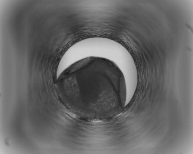 X0000094780229200712071212