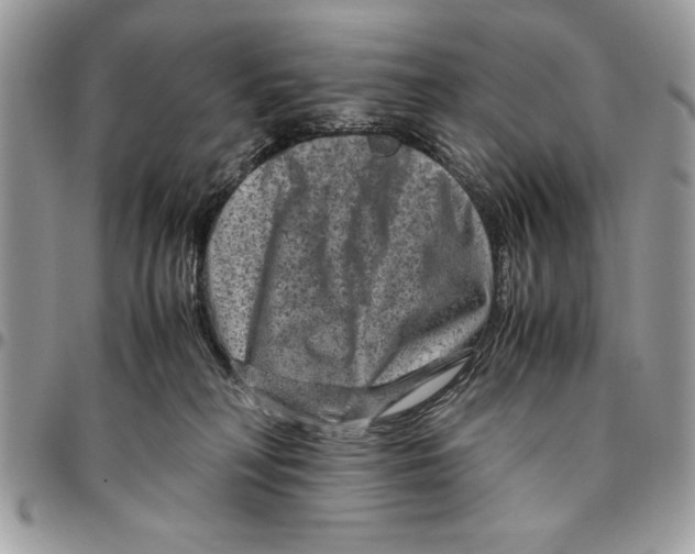 X0000094780230200712071212