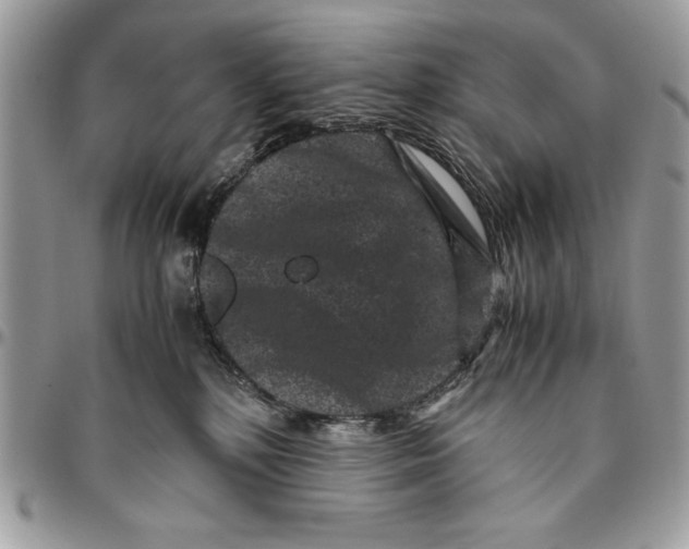 X0000094780232200712071212