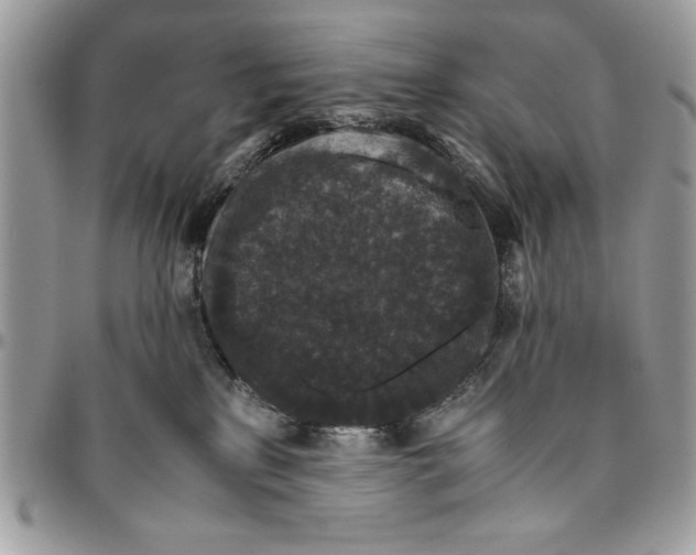 X0000094780233200712071212