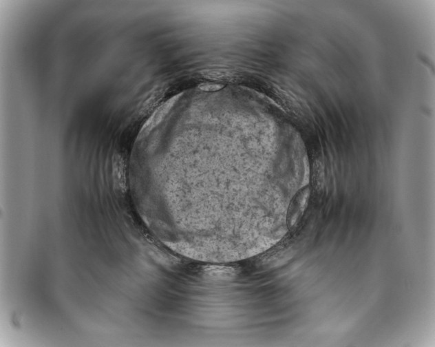 X0000094780234200712071212