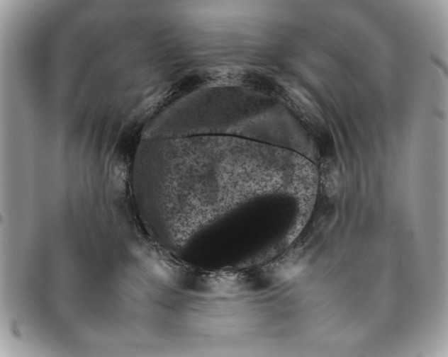 X0000094780235200712071212