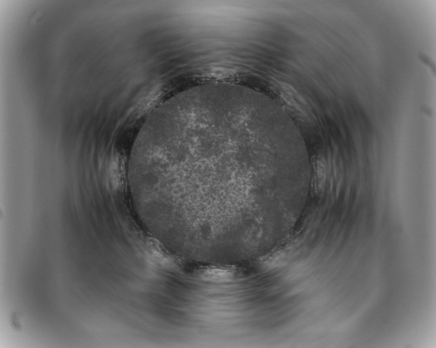 X0000094780236200712071212