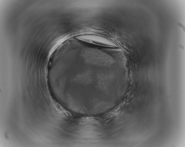 X0000094780244200712071211