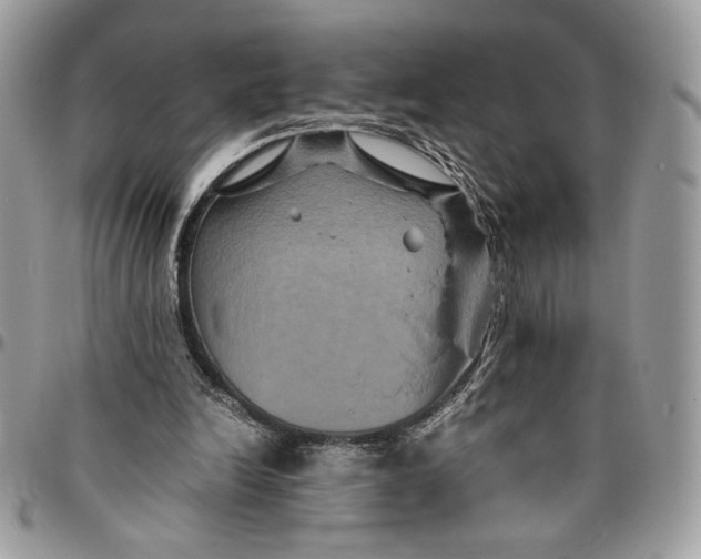 X0000094780246200712071211