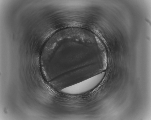 X0000094780249200712071211