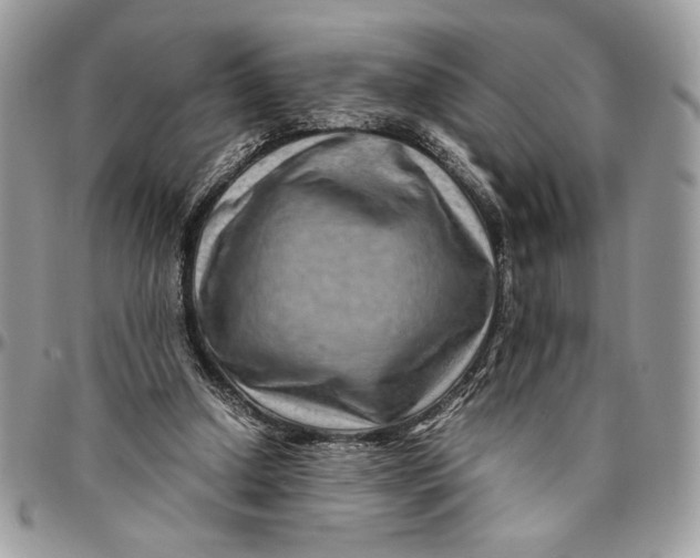 X0000094780250200712071211