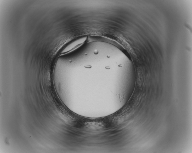 X0000094780251200712071211