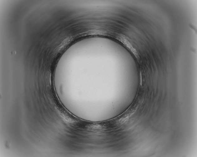 X0000094780253200712071211