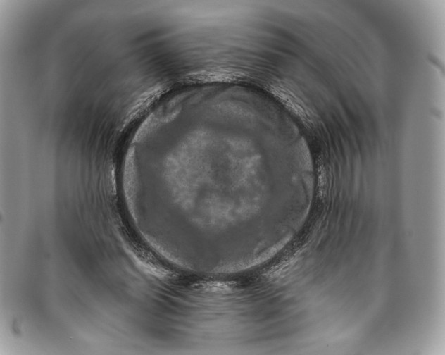 X0000094780254200712071211