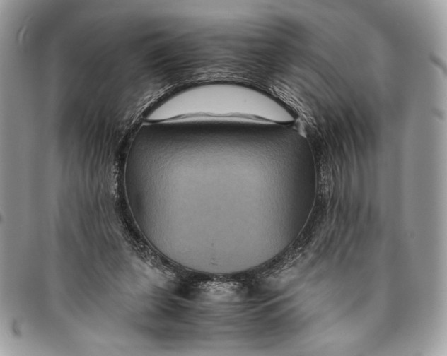 X0000094780255200712071211