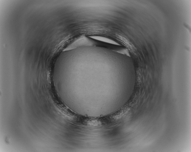 X0000094780258200712071211