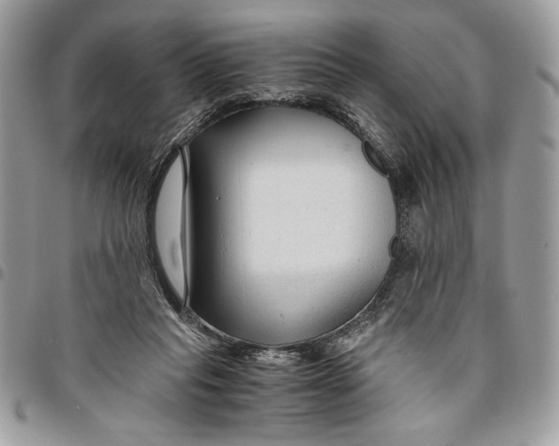 X0000094780261200712071211