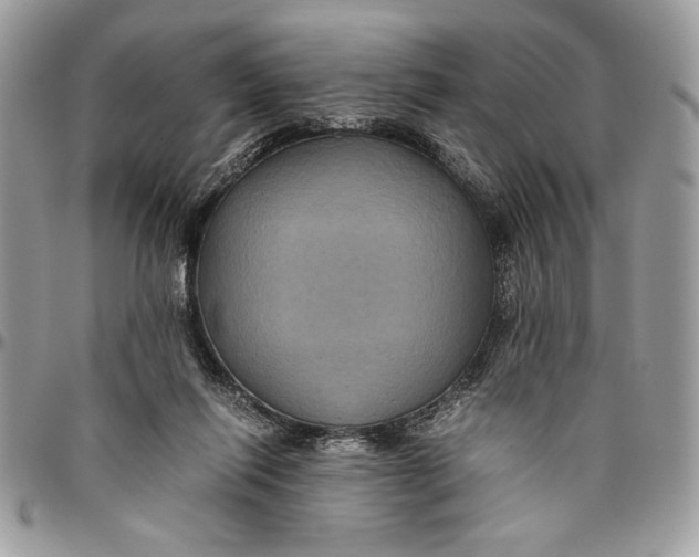 X0000094780262200712071211