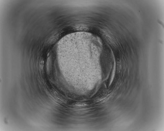 X0000094780263200712071211