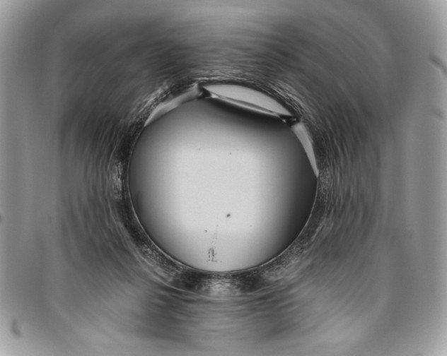 X0000094780264200712071211