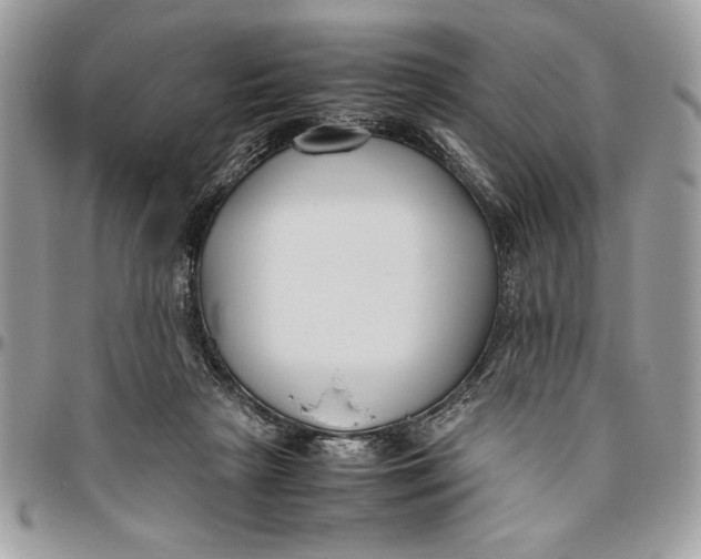 X0000094780265200712071211