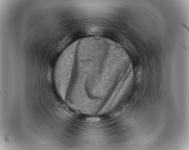 X0000094780266200712071211