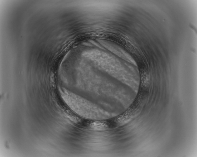 X0000094780270200712071211