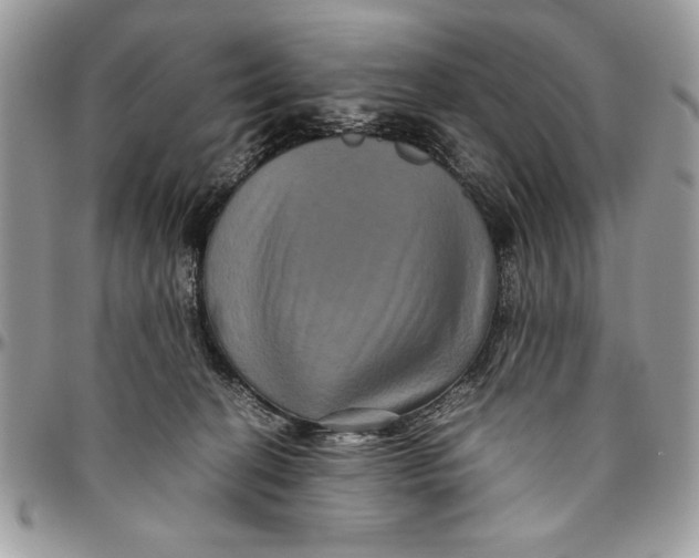 X0000094780274200712071211